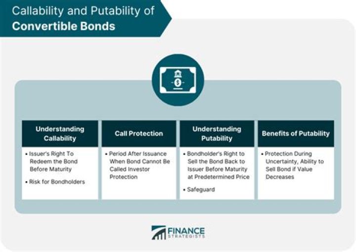 What are the reasons for issuing warrants and convertible bonds?