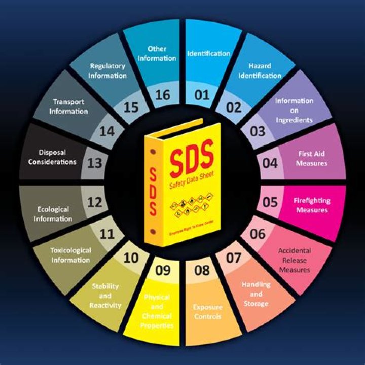 What are the sections of an audit?