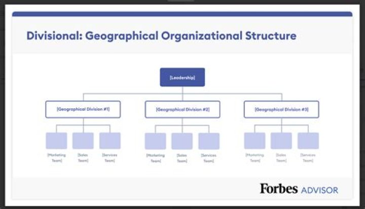 What are the six elements that should be covered by Organisational standards and procedures?
