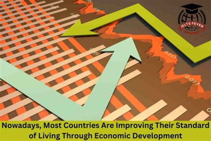 What are the standards of living criteria that developing countries have?