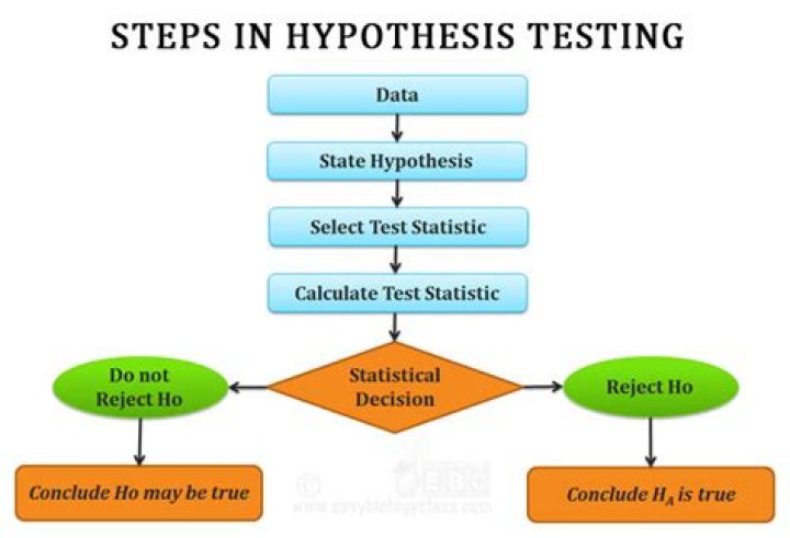 What are the steps to a hypothesis?