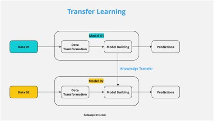 What are transfer questions?