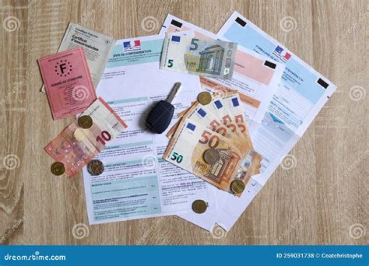 What are you provided when you buy a franchise?