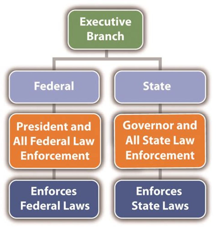 What branch of government prepares the budget?