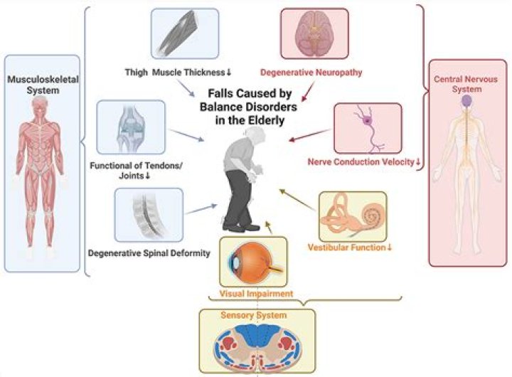 What causes lack of balance in elderly?