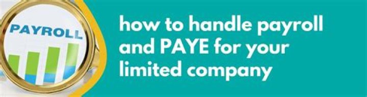 What companies handle payroll?