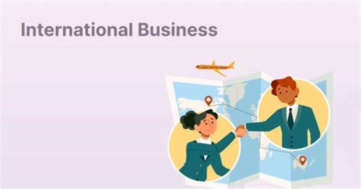 What do international business consultants do?