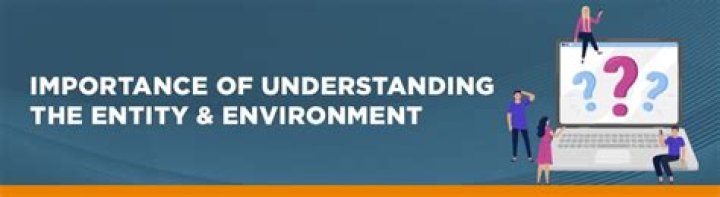 What do we understand about the entity and its environment?