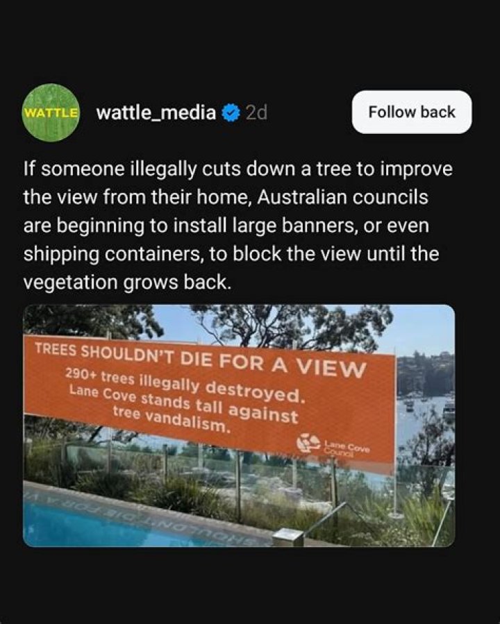 What do you call someone who illegally cuts down trees?