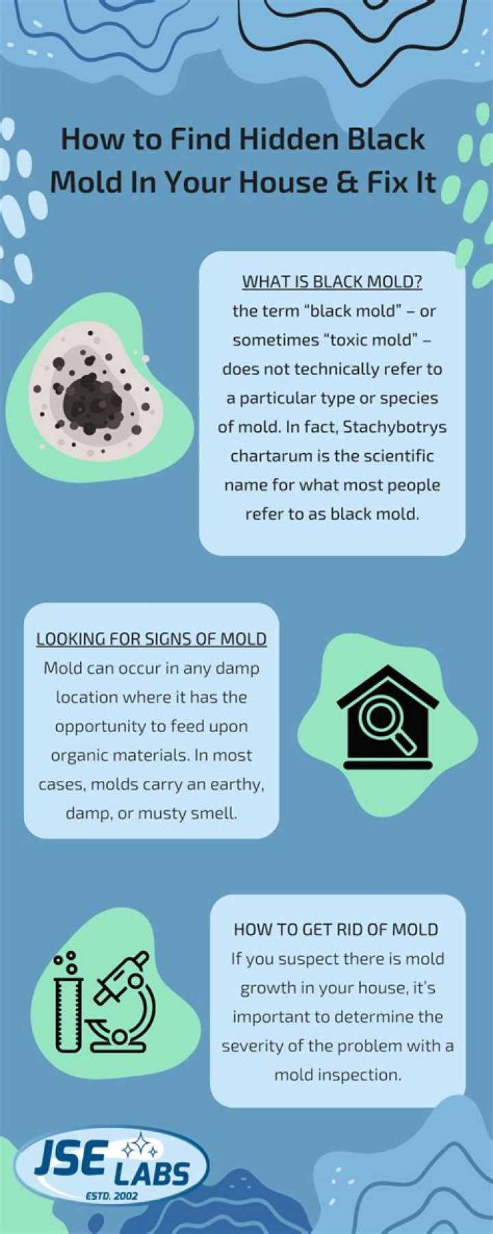 What do you do if you have black mold in your apartment?