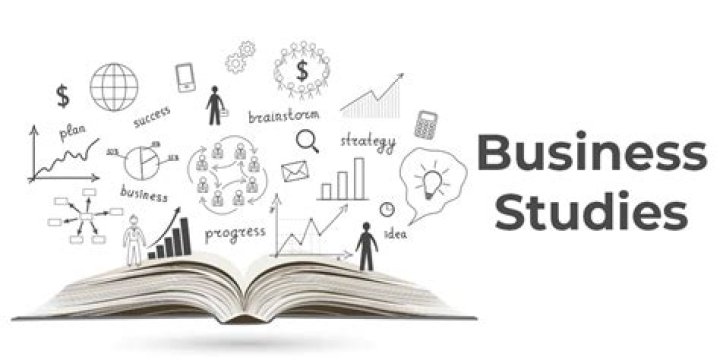 What do you learn in business studies?