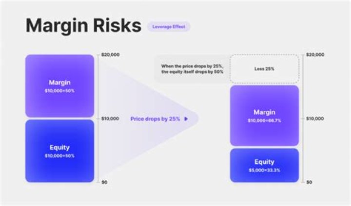 What does 100% margin equity mean?