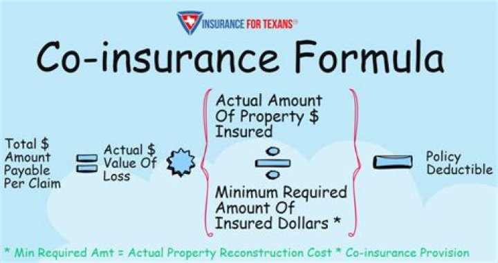 What does 5% coinsurance mean?