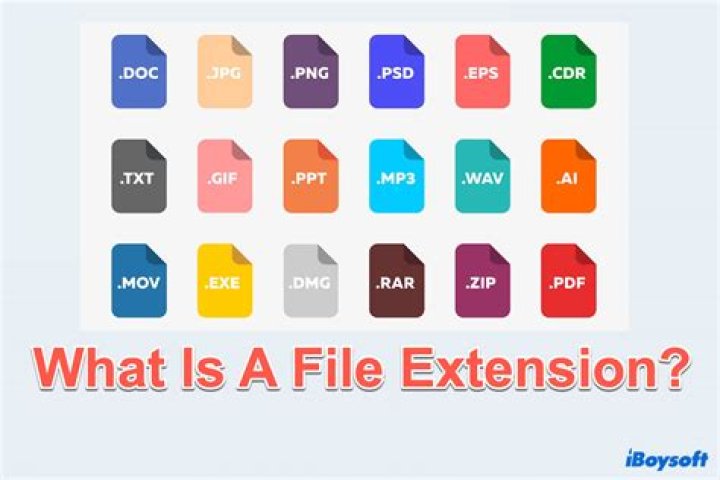 What does a files extension tell you?