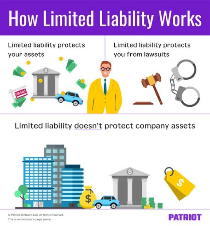 What does a limited liability company do?