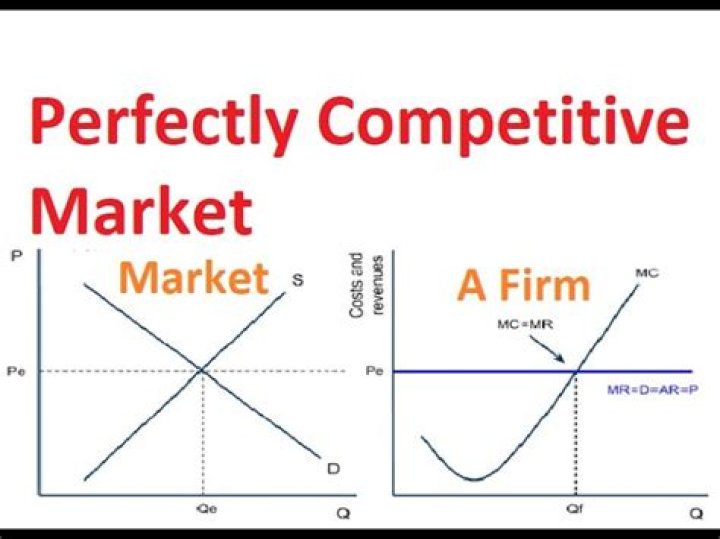 What does a perfectly competitive firm do?