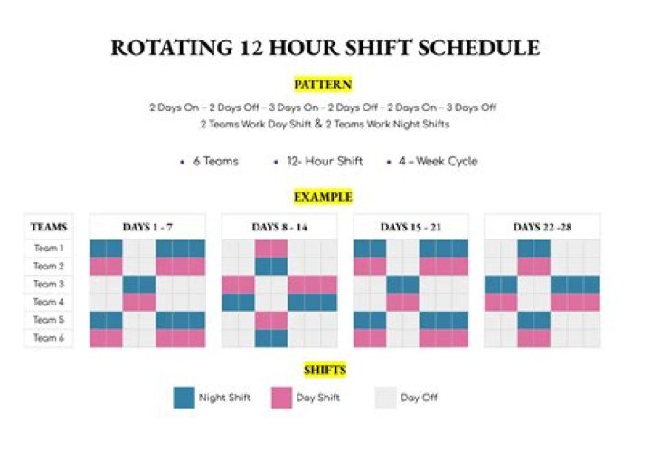 What does a Schedule C tell you?