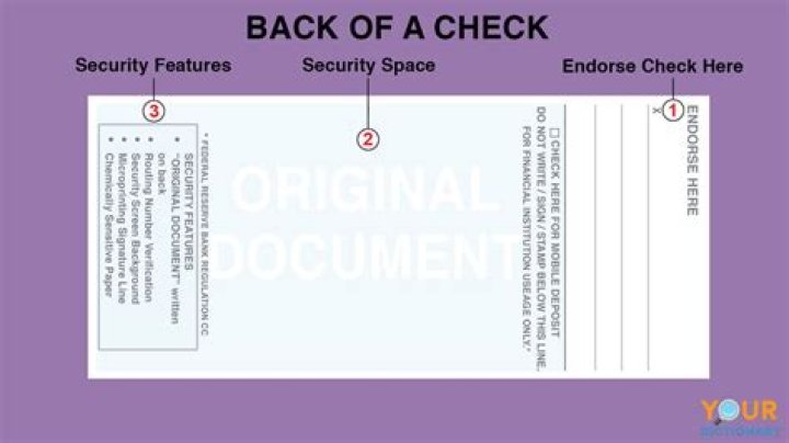 What does a skipped check mean?
