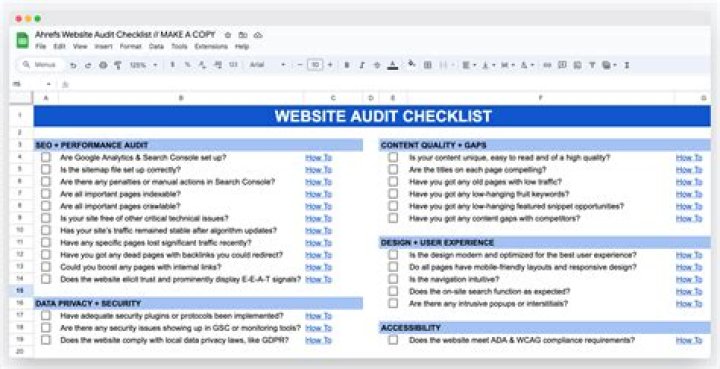 What does a tax audit do?