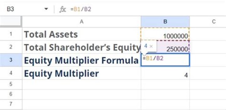 What does an equity multiplier of 2 mean?