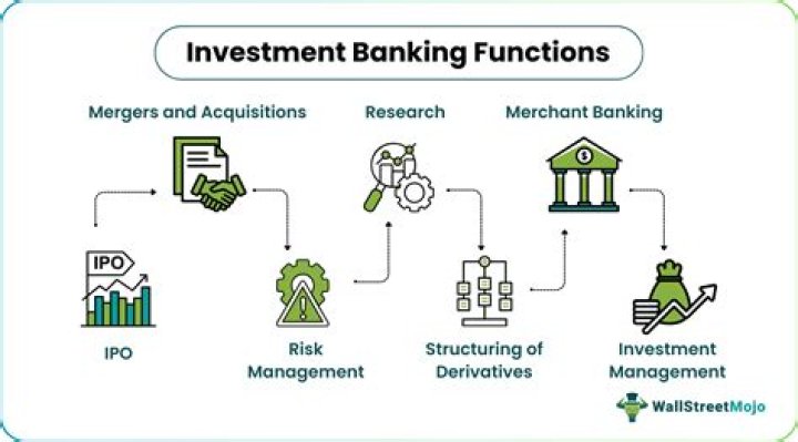 What does an investment LLC do?