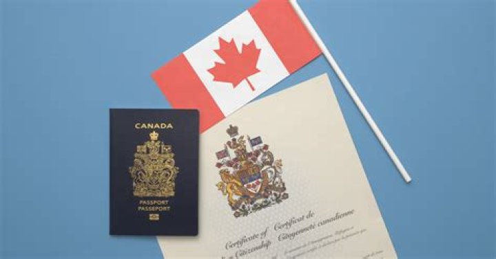 What does being a Canadian citizen allow you to do?