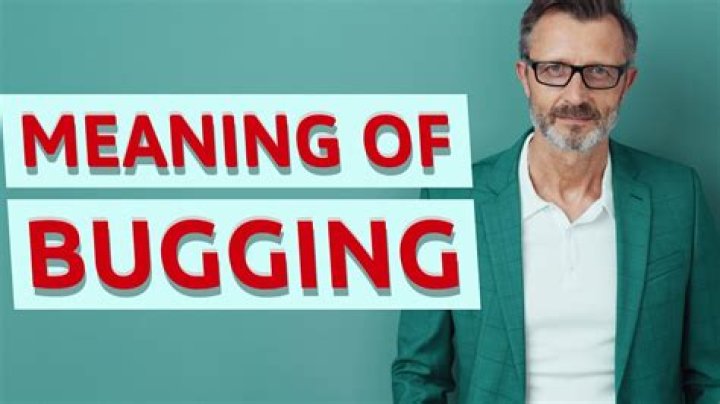 What does bugging me mean?