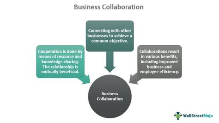 What does collaborating with someone mean?