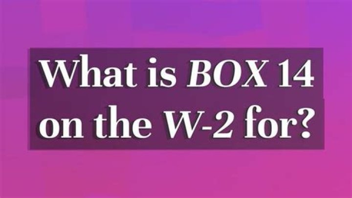 What does E mean in box 14 on w2?