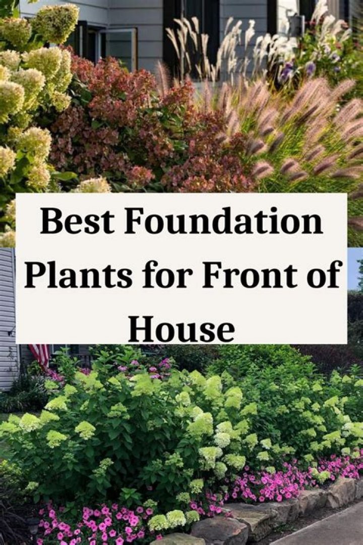 What does front of house include?