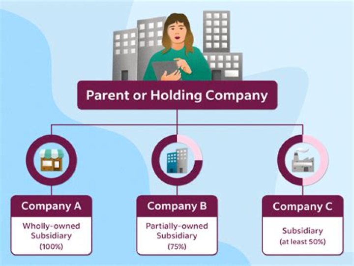 What does holdings mean in business?