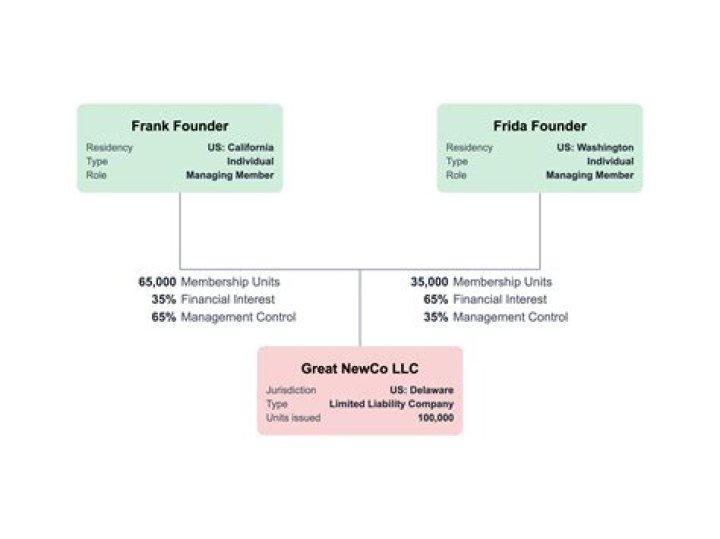 What does it mean to be an owner of a LLC?