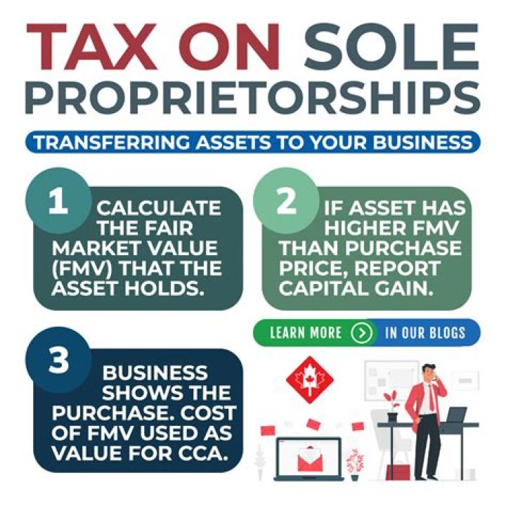 What does it mean to operate as a sole proprietor?