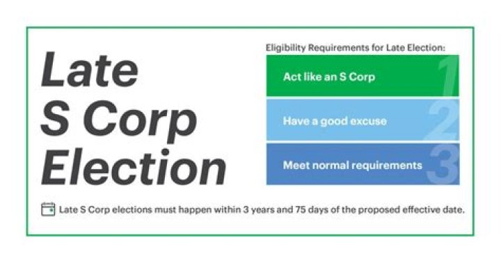 What does s Corp late filing penalty abatement mean?