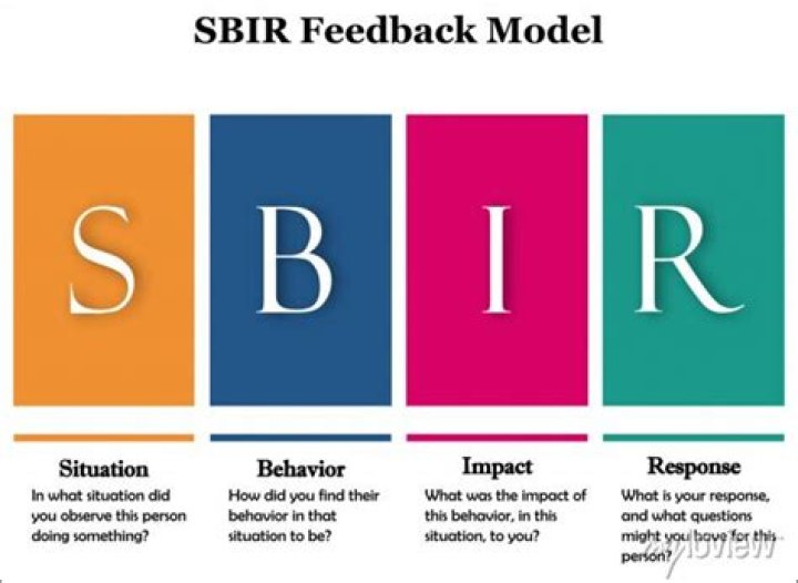 What does SBIR model of feedback stand for?