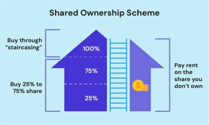 What does shared ownership mean in France?