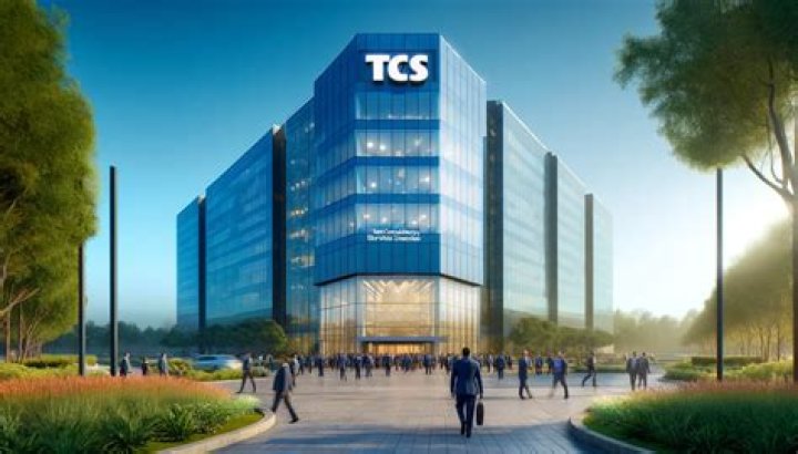 What does TCS actually do?