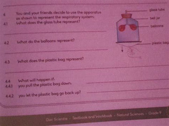 What does the plastic bag represent?