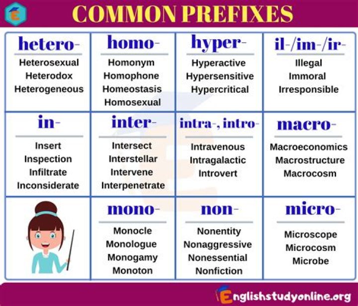 What does the prefix socio mean?