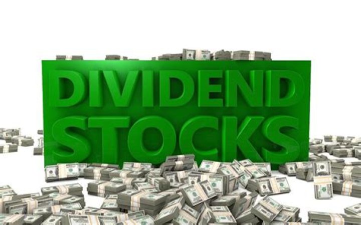 What explains the dividend puzzle?