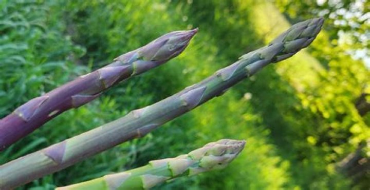 What happens if you wait 3 years to file taxes?