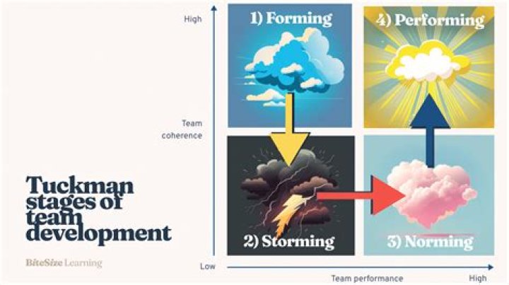 What happens in the forming stage of team development?