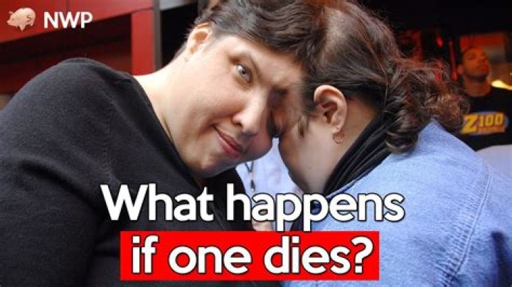 What happens to a trust when the founder dies?