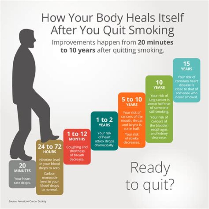 What happens to your FERS if you quit?