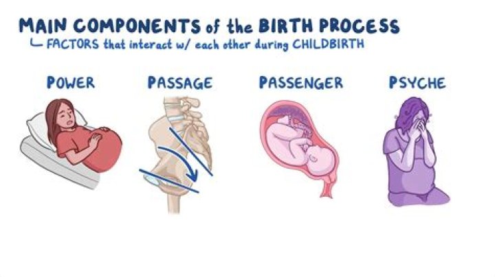 What happens when a child is separated from their mother?