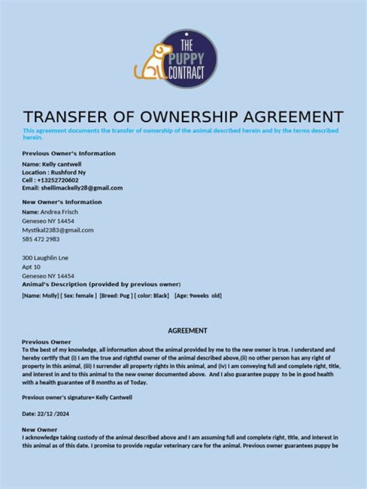 What happens when you transfer ownership of a home to a child?