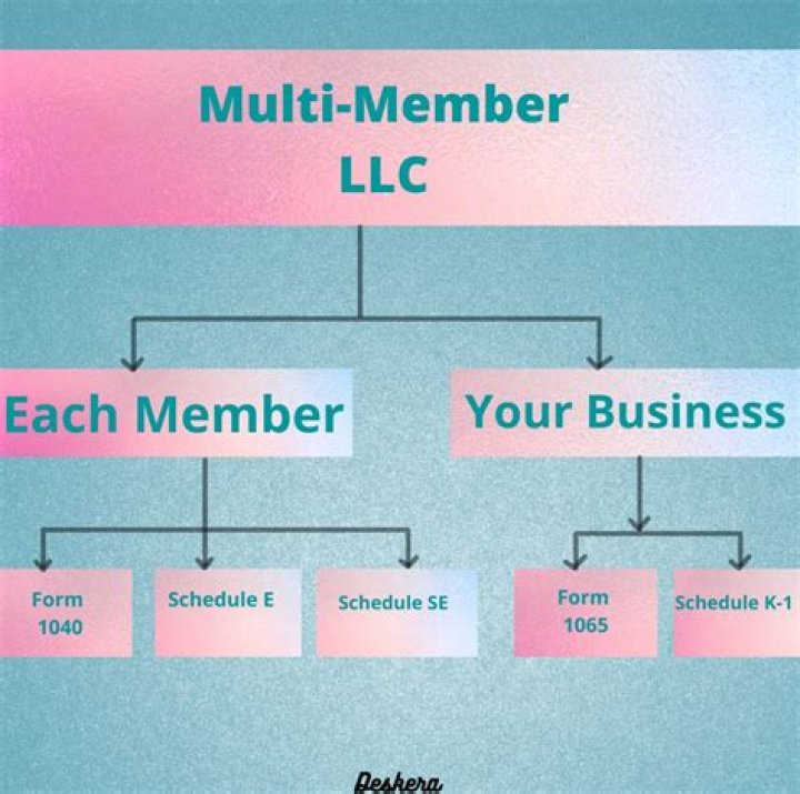 What is a 1 member LLC?