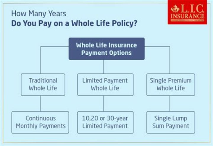 What is a 20 year payment whole life policy?