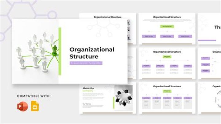 What is a 501a organization?