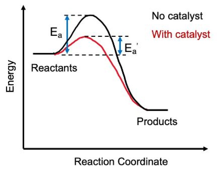 What is a catalyst for change?